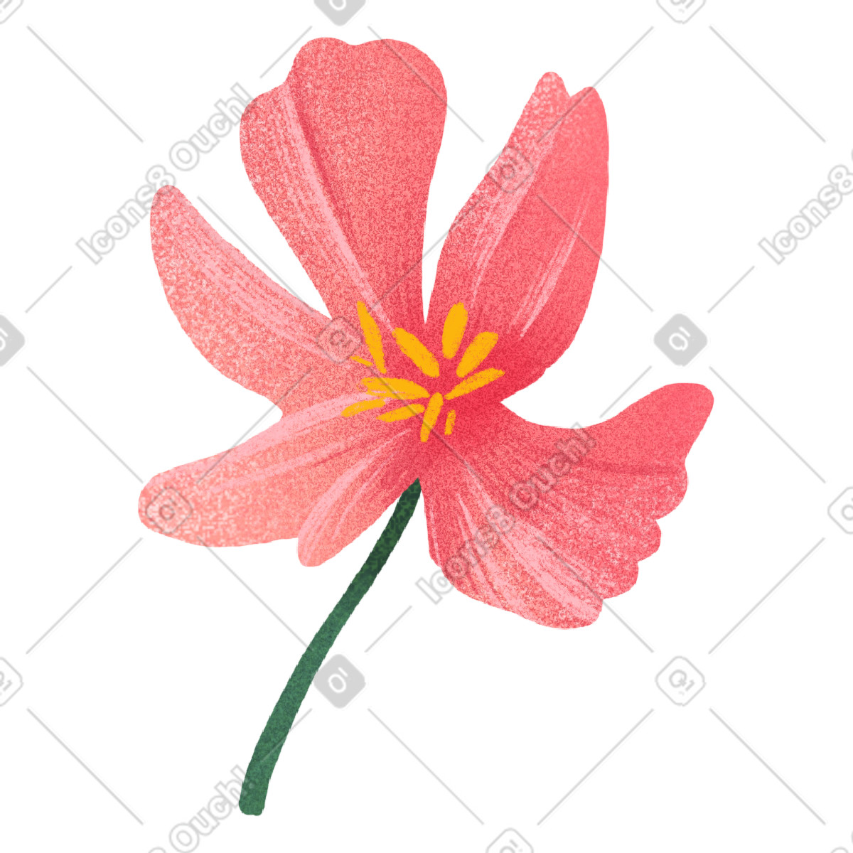 Pinke blume-Illustration im Floral-Stil als Download in PNG, SVG