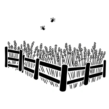 A black-and-white illustration of a lavender field in full bloom, with rows of lavender plants stretching toward the horizon. Bees hover above the flowers, depicted as small silhouettes in the air. A rustic wooden fence is positioned to one side of the field, with weathered planks and a slightly uneven structure. The scene captures the texture of the lavender and the details of the fence, creating a harmonious composition.