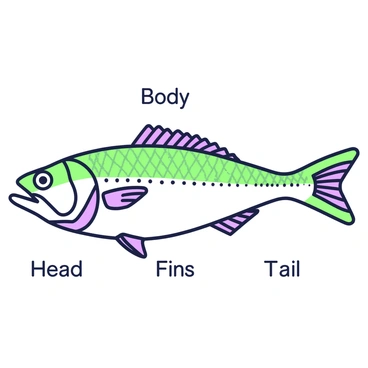 An educational diagram illustrating the anatomy of a mackerel fish is displayed prominently. The diagram shows the mackerel fish from a side view, highlighting its streamlined body shape. The various anatomical features are labeled clearly with green and purple outlines. The head of the mackerel includes detailed representations of the eyes, gills, and mouth. The body shows the fins, including the dorsal fin, pectoral fins, and the tail fin. The scales on the body are depicted in a distinct pattern. Below the fish, labels with "Head," "Body," "Fins," and "Tail" are arranged systematically, guiding viewers through the anatomy.