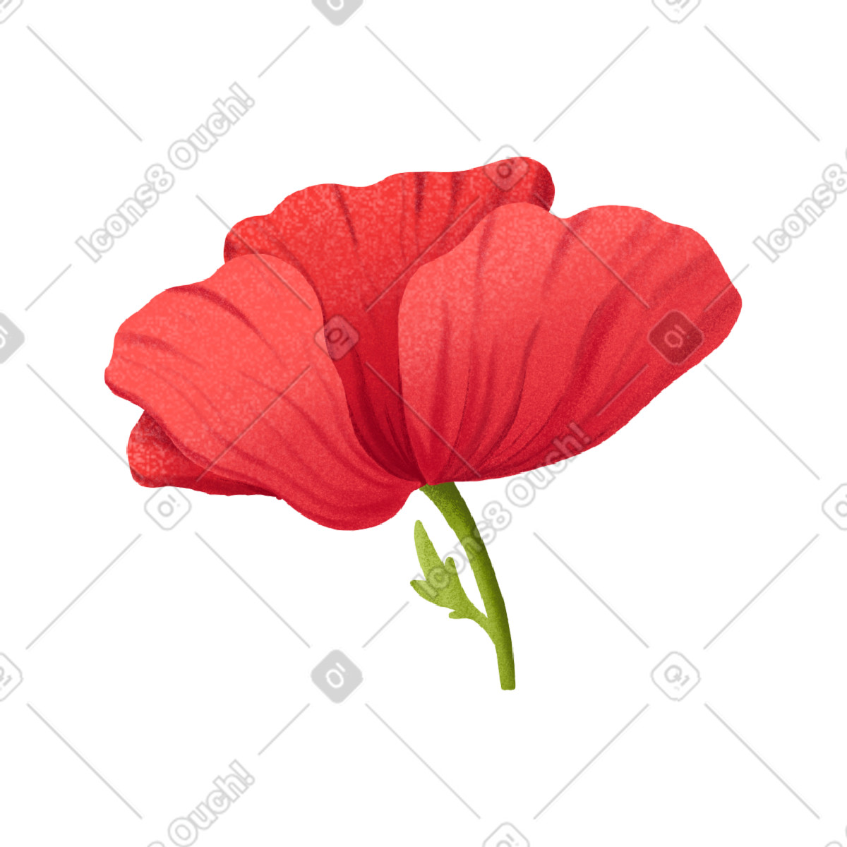 Red blooming poppy on a short stem illustrazione in stile Floral scarica in PNG, SVG
