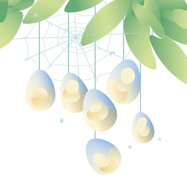 A cluster of spider egg sacs is hanging from a delicate, intricate web. The egg sacs are small, round, and have a slightly translucent appearance, revealing the shapes of the developing spiderlings inside. The web is made of fine, shimmering silk threads that catch the light, creating a glistening effect. In the background, green leaves are softly blurred, providing a natural setting for the web. Tiny droplets of dew are clinging to the web and the egg sacs, adding detail to the scene.