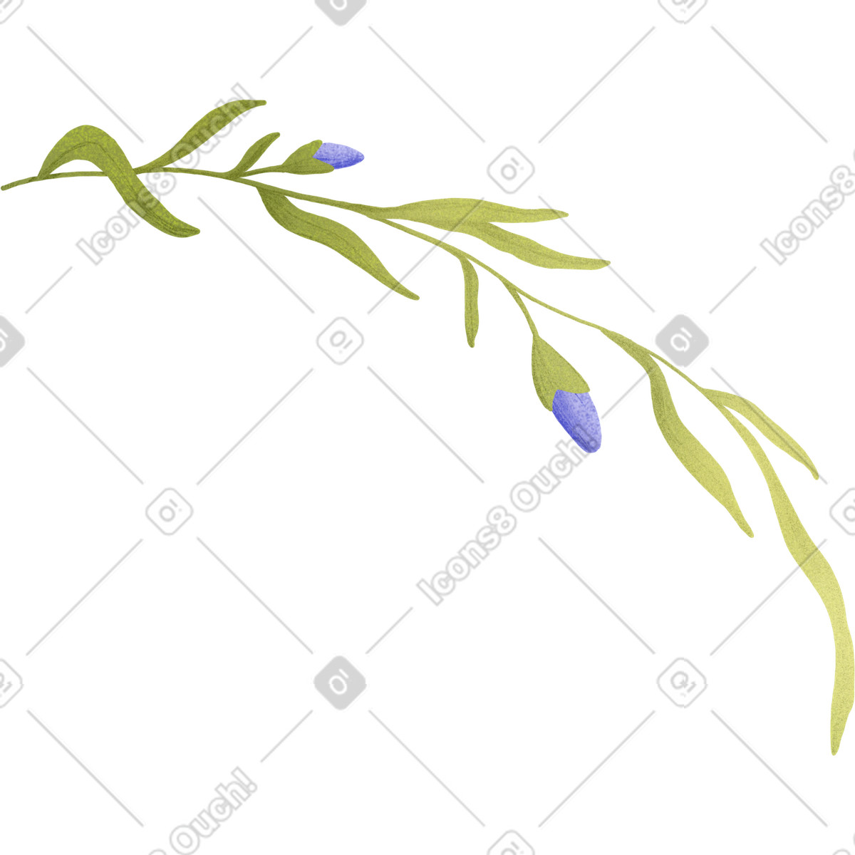 Long green curved twig with leaves and blue buds illustration in Floral style download in PNG, SVG