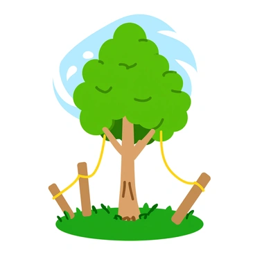A young tree with bright green leaves stands in the center of the image. The trunk is slender and has rough, light brown bark. Ropes are attached to the tree, extending outwards and tied to wooden stakes driven into the ground. The stakes are sturdy and tall, positioned on either side of the tree to provide support. The grass surrounding the tree is lush and green, and there is a clear blue sky overhead. Soft sunlight casts gentle shadows on the ground, highlighting the vibrant colors of the scene.