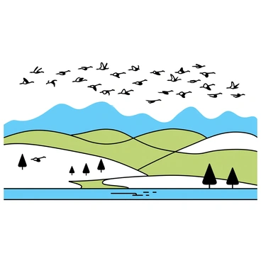 A large flock of "cigognes" in flight, with their distinctive black and white plumage, soaring across a vast landscape. The landscape is dominated by rolling green hills and patches of fields, stretching out under a clear blue sky. The birds are in a V formation, showcasing their long wings and slender necks as they migrate south. Below them, scattered trees and a winding river can be seen, adding depth to the scene. The sunlight casts soft shadows of the birds on the ground, emphasizing their movement through the expansive terrain.