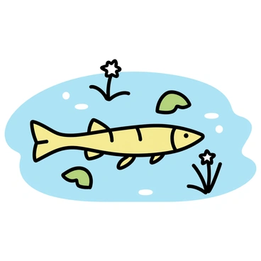 A walleye, featuring elongated body and sharp fins, glides gracefully beneath the clear surface of a pond. The water is a soft greenish hue, reflecting light in delicate ripples. Dotting the surface are several lily pads with broad, round leaves, various shades of green, some partially submerged. Small white flowers bloom atop a few of the pads, adding contrast to the scene. The walleye's distinctive dark stripes and golden color are visible as it moves through the water, surrounded by a serene aquatic environment.