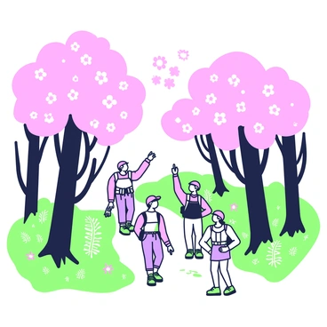 A group of hikers is walking along a forest trail surrounded by towering cherry blossom trees. The hikers, dressed in outdoor gear, are spread out along the path. The trees are in full bloom, creating a canopy of blossoms above them. Sunlight filters through the branches, casting dappled light onto the trail. There are lush green ferns and small wildflowers along the edges of the path, adding to the vibrant scene. The hikers are engaged in conversation, and one is pointing towards the blossoms overhead.