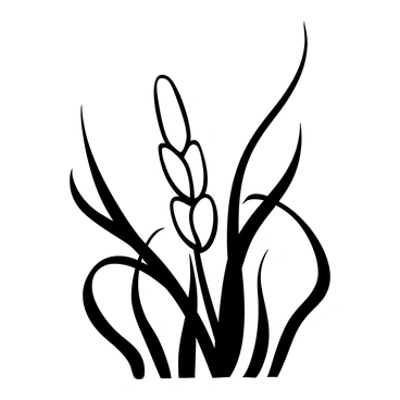 A close-up view of a single rice grain still attached to the plant. The rice grain is elongated and has a slightly curved shape, displaying its smooth surface. It is nestled among slender green stalks, surrounded by delicate, sharp-edged leaves that create a contrasting texture. The background features blurred rice plant elements, emphasizing the focus on the grain itself. The image captures the intricate details of the rice grain and its connection to the plant, showcasing the natural growth process.