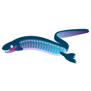 A detailed anatomical illustration of an electric eel showcasing its elongated body covered in smooth, dark skin. The eel is depicted in a side view, revealing its streamlined shape and large dorsal fin. Inside its transparent body, the electric organs are highlighted, showing clusters of electrocytes arranged in columns along its length. The illustration includes a detailed representation of the head, with its large eyes and a mouth filled with small, sharp teeth. The eel is set against a gradient background, emphasizing its unique anatomy and bioluminescent features.