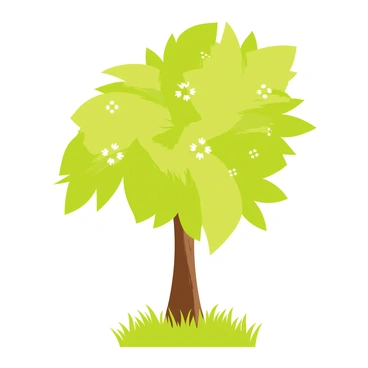 Mango tree