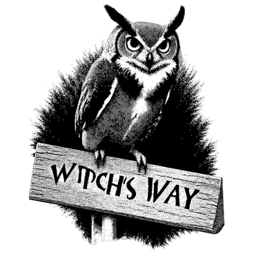 A wise-looking owl is perched on a rustic wooden sign. The owl has large, expressive eyes and intricate feather patterns. The sign features the words "Witch's Way" prominently carved into its surface. The wood of the sign shows detailed textures, with visible grain and knots. The background suggests a natural setting, hinting at a forest environment where the owl resides. The contrast between the owl's detailed plumage and the smooth wood of the sign enhances the scene.