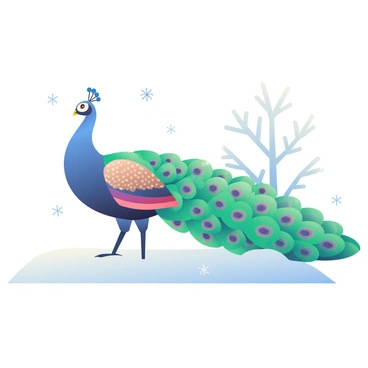 A paon standing elegantly on a snow-covered field, its colors vivid against the white