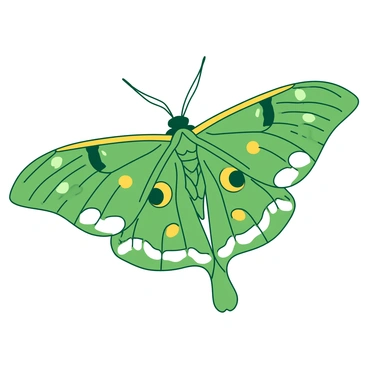 A close-up illustration of a luna moth featuring detailed and intricate wing patterns. The wings display a combination of delicate shapes and textures, showcasing a harmonious blend of "green" and "yellow" hues throughout the patterns. The eyespots on the wings are prominent and distinct, drawing attention with their unique shapes. The fine veining of the wings is visible, adding to the overall complexity of the design. The background is softly blurred to emphasize the moth's exquisite details.