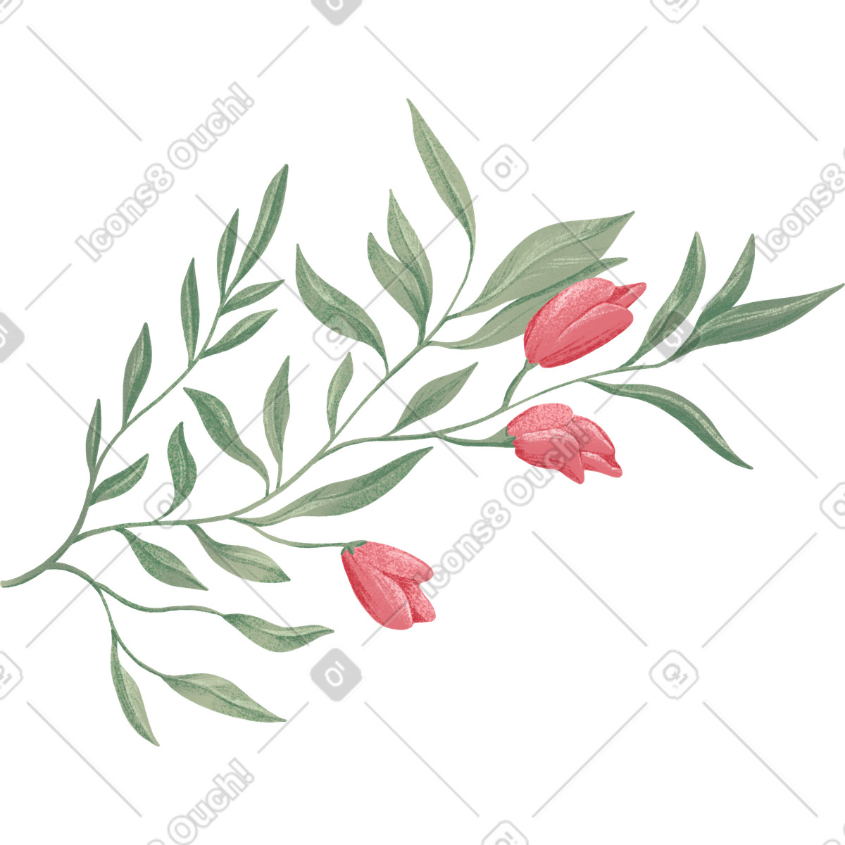 Illustration Delicate green branch with three rose buds dans le style Floral à télécharger aux formats PNG, SVG