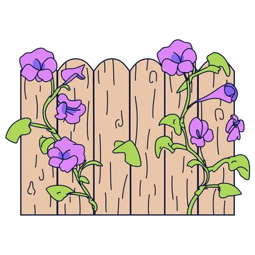 A wooden fence with a rustic texture, showing visible knots and grain. Climbing along the fence are several "morning glory flowers" with vibrant purple petals. The flowers are partially open, displaying their trumpet-shaped forms. Early sunlight casts soft shadows and illuminates the petals, highlighting their rich colors. Green vine leaves intertwine with the flowers, adding a lush touch to the scene.