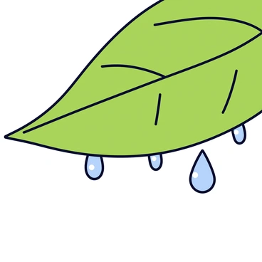 A close-up view of raindrops that are delicately hanging from the edge of a green leaf. Each raindrop is perfectly round and glistens with clear reflections of light. The leaf has a smooth texture and vibrant green color, showing fine veins running throughout. The background is softly blurred to emphasize the leaf and raindrops in sharp detail.