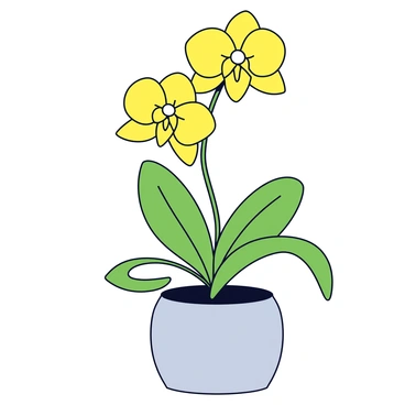Yuzu