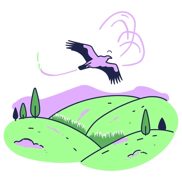 A turkey vulture is soaring gracefully above a wide valley. The vulture has extended wings gliding effortlessly in the air. Below, the valley is filled with varying terrain, including patches of grass and small clusters of trees. In the distance, rolling hills provide a backdrop to the scene. The sky is clear, allowing the vulture to ride the thermals, and there are gentle currents of air visibly flowing upwards. The sunlight casts soft shadows on the ground, highlighting the contours of the valley.