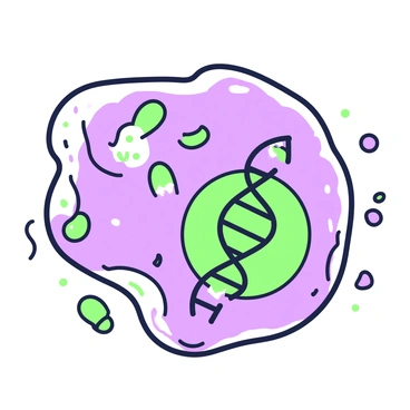 An illustration depicts a cancer cell with a distinctly irregular shape, showcasing its enlarged nucleus. Within the nucleus, there is a visibly damaged double helix structure of DNA, with one segment twisted and frayed, revealing breaks and anomalies along its length. Surrounding the DNA are smaller cellular components, such as ribosomes and mitochondria, all drawn with clarity. The cell membrane is slightly fragmented, indicating instability. The overall scene has a focus on the contrast between the damaged DNA and the cellular environment.