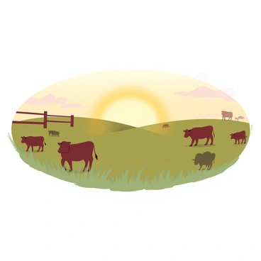 A farm field is stretching out under a golden sky at sunset. The horizon is filled with warm hues of orange and yellow, creating a gradient effect. Silhouettes of cows are visible in the field, peacefully grazing. The cows are positioned at different spots in the field, some clustered together while others are more isolated. The grass in the field is tall and swaying gently with the breeze, adding a sense of movement to the scene. A wooden fence can be seen in the background, framing the tranquil farm setting.