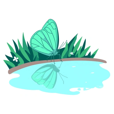 A teal butterfly with intricate wing patterns is perched on the edge of a white, calm pond. Its wings are slightly spread as it leans forward to admire its reflection in the clear water. The surface of the pond mirrors the butterfly's vibrant colors and delicate features. Surrounding the pond, there is lush green grass and a few small white flowers, adding to the serene atmosphere of the scene.