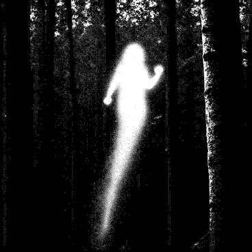 A glowing spirit is floating above a dense forest, surrounded by tall, dark trees with intricate bark textures. The spirit is semi-transparent, allowing the silhouettes of the trees to be seen through it. It is leaving a delicate trail of white light that cascades behind as it moves, illuminating the air around it. The forest floor is obscured, creating a mysterious atmosphere.