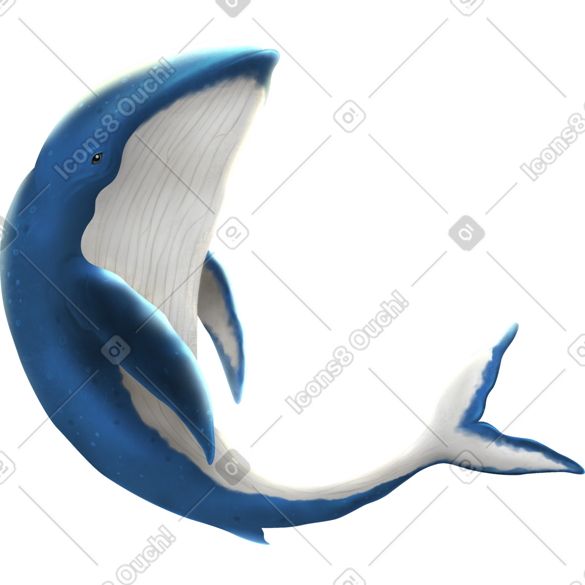 Ilustración Whale en estilo Props a descargar en PNG y SVG