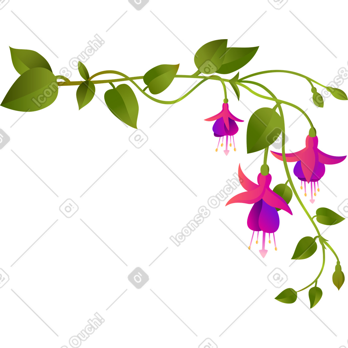 Fuchsia flowers on a large corner twig illustration in Blossom style download in PNG, SVG