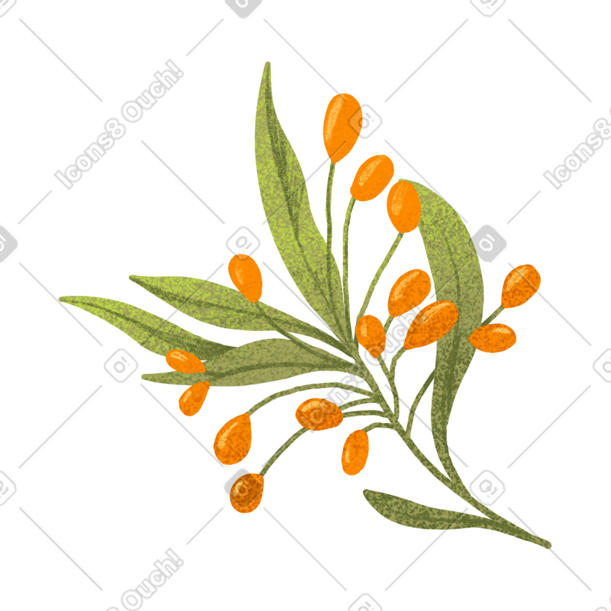 Ilustración Green twig with orange berries en estilo Floral a descargar en PNG y SVG