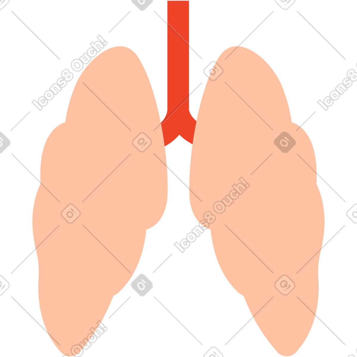 Menschliche lunge-Illustration im Polar-Stil als Download in PNG, SVG