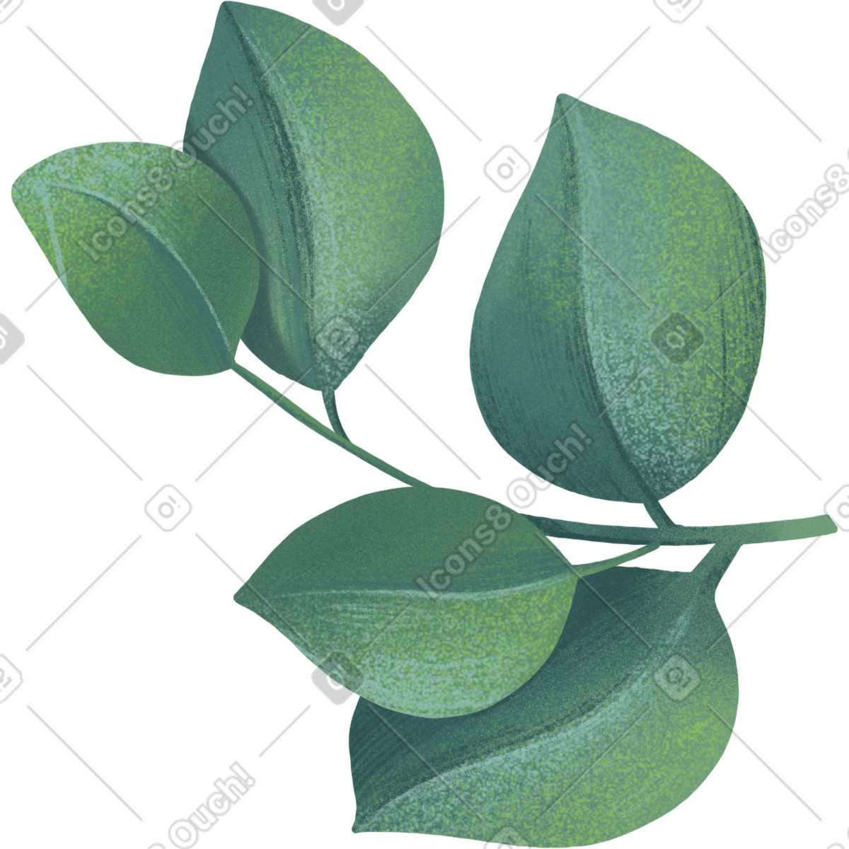 Ilustración Ramita de hojas eucalipto en estilo Floral a descargar en PNG y SVG