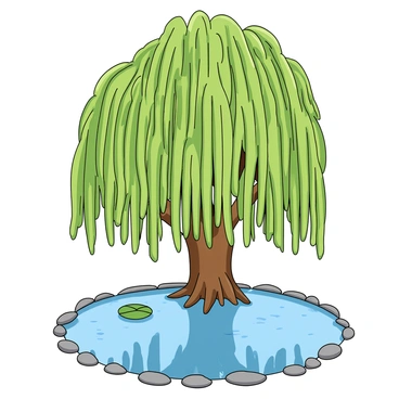 A large weeping willow tree with long, flowing branches that cascade downwards, forming a gentle curtain of green leaves. The branches are thick and droop gracefully towards the ground, creating a soft and inviting appearance. Beneath the tree, a tranquil pond reflects the image of the willow, with ripples gently disturbing the surface. The pond's edges are lined with small, smooth stones, and a few lily pads float peacefully on the water. Sunlight filters through the leaves, casting soft shadows on the ground.