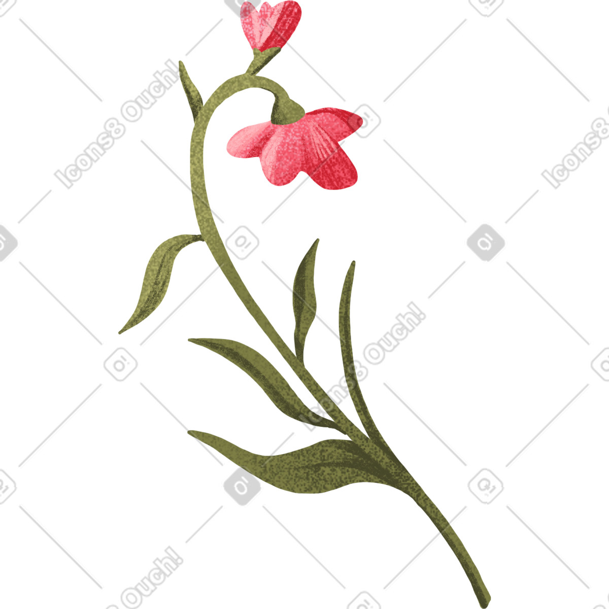 Curved twig with two red buds illustration in Floral style download in PNG, SVG