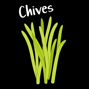 A blackboard featuring a bunch of green chives, depicted with fine details to show their long, slender leaves. The chives are arranged in a cluster, with some leaves slightly bent and overlapping. Above the chives, the name "Chives" is written in white chalk, with a playful and slightly curved font. The overall background of the blackboard is a deep black, highlighting the vibrant green of the chives and the bright white chalk writing.
