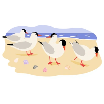 A group of five arctic terns with white feathers and black caps are resting on a sandy beach. The terns are perched on a warm tan-colored sand, surrounded by scattered seashells in various shapes and sizes. The ocean waves gently lap at the shore in the background, while a bright blue sky stretches overhead. The scene captures the peaceful presence of the birds, with a few terns engaging in preening their feathers.