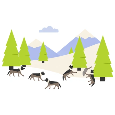 A snowy taiga biome featuring a landscape covered in white snow. Tall green pine trees are scattered throughout the scene, their branches heavy with snow. A pack of gray wolves is roaming in the foreground, with some wolves playfully interacting with each other. The background shows more pine trees and a gentle slope, adding depth to the snowy environment. The sky above is a light blue with a few fluffy white clouds, completing the serene setting.