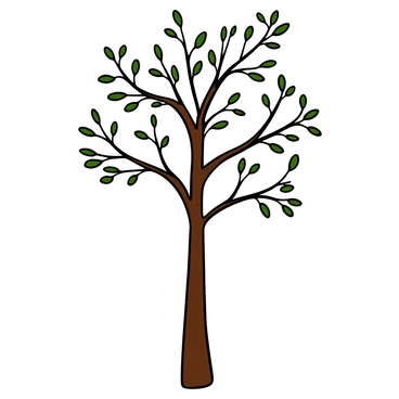 A tall tree with a slender trunk and sprawling branches reaching out in various directions. The branches are adorned with delicate leaves, showcasing an intricate pattern. The tree stands against a blank background, emphasizing its elegant form. The line work is clean and precise, capturing the details of the bark texture and the gentle curvature of the branches.