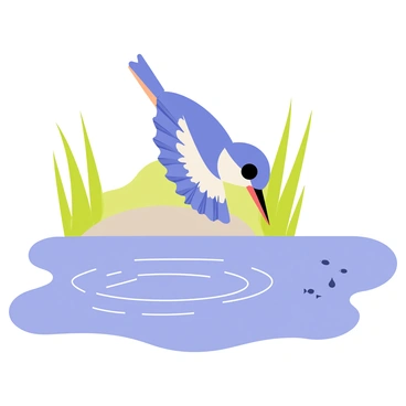 A belted kingfisher with striking blue and white plumage is hovering above a clear blue body of water. Its wings are spread wide, capturing the air as it scans the surface below. The bird's keen eyes are focused on the shimmering water, searching for fish. Ripples gently emanate from the spot where small fish occasionally dart just beneath the surface. In the background, soft green vegetation frames the scene, adding a natural touch to this moment of intense focus.