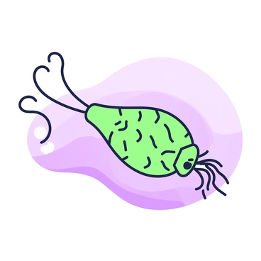 A close-up view of a single krill is presented. The krill features a translucent body, displaying delicate, intricate details of its structure. Its antennae are prominently visible, extending gracefully from its head. The segmented body is slightly curved, showcasing the fine lines that represent its exoskeleton. The krill's limbs are also visible, appearing slender and agile. The background is a subtle gradient, emphasizing the krill as the focal point of the image.