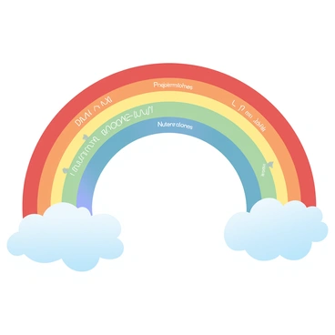 A vibrant rainbow arcs across the sky, showcasing each of its colored bands labeled with distinct genetic molecules. The red band features a representation of DNA double helix structures, while the orange band displays sequences of RNA. The yellow band includes illustrations of proteins, represented as folded chains. The green band depicts various nucleotides, arranged neatly in a row. The blue band shows plasmids, with circular shapes interconnected, and the violet band highlights chromosomes, illustrated with linear patterns. Below the rainbow, soft clouds float gently, enhancing the overall scene.