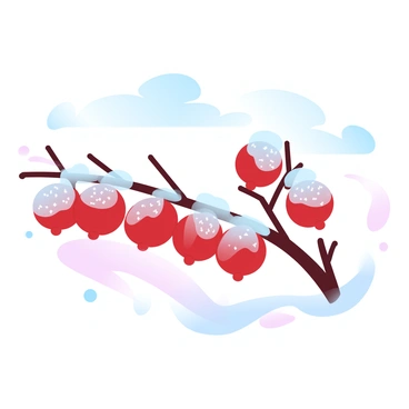 A branch adorned with frost-covered berries is prominently displayed. The berries are bright red and glisten with a layer of frost, enhancing their vivid color. Each berry has intricate frost patterns on its surface. The branch is bare, with delicate twigs extending outward. Above the branch, a clear winter sky stretches, painted in shades of pale blue, hinting at the crispness of the air. The sunlight casts a soft glow on the frost, creating a sparkling effect.