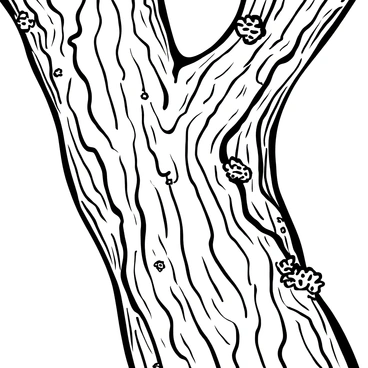 A detailed close-up of the textured bark of a fig tree, showcasing the intricate patterns and grooves of the bark's surface. The bark presents an array of deep crevices and rough textures, with parts that appear weathered and aged. There are sections where the bark peels slightly, revealing layers underneath. Various small fissures run through the bark, adding character to the image. A few strands of moss are clinging to one side of the bark, emphasizing the natural elements present in the scene.