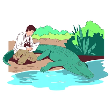 A teal saltwater crocodile is resting on a sunlit riverbank, partially submerged in the water, with its snout and eyes above the surface. Nearby, a white wildlife researcher is kneeling on the muddy bank, wearing khaki gear and holding a clipboard, observing the crocodile carefully from a safe distance. The researcher has binoculars hanging around their neck and is focused intently on the crocodile. The surrounding environment includes lush green vegetation and the glistening surface of the river reflecting the sunlight.