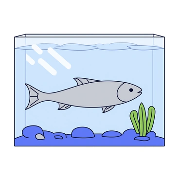 A barramundi fish with a sleek silver body swimming gracefully through a large, clear aquarium. The aquarium features a natural habitat setup, including lush green aquatic plants and smooth rocks at the bottom. Sunlight streams through the top, creating gentle reflections on the water's surface. The barramundi's fins are extended as it glides through the crystal-clear water, with small pebbles scattered on the aquarium floor.