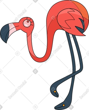 Flamingo PNG, SVG
