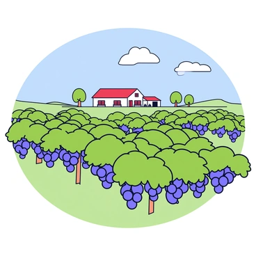 A picturesque vineyard on a rolling hill with a quaint farmhouse in the distance