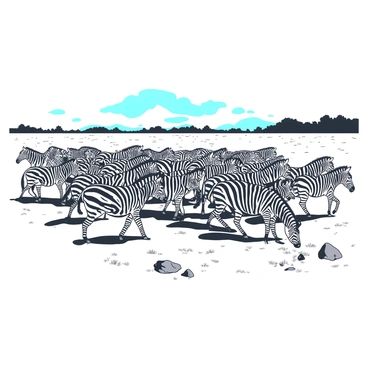 A large herd of zebras is migrating across an open grassy plain. The zebras are in various positions, some grazing while others are in motion, their black and white stripes creating a striking pattern as they move together. The plain is dotted with patches of grass and a few scattered rocks, showing the natural landscape. In the background, there are distant trees and a wide blue sky above, indicating a bright day. The scene captures the dynamic movement and energy of the herd as they travel together.