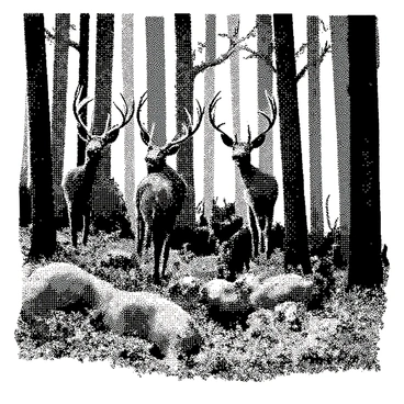 A whimsical forest scene is filled with tall trees, their trunks adorned with intricate engravings. Among the trees, several deer are depicted with elegant antlers, standing gracefully. There are also playful rabbits hopping around on the forest floor, surrounded by ferns and wildflowers. The forest appears lively, with the animals interacting in various poses, capturing a sense of harmony in nature.