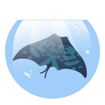 A large manta ray with a wide wingspan is swimming just below the surface of a calm ocean. The water is crystal clear, allowing a perfect reflection of the manta ray onto the tranquil surface. The manta ray displays intricate patterns on its back, with shades of deep blue and black blending together. Surrounding the ray, the ocean surface is smooth like glass, capturing the contours of the manta ray in a mirror-like effect. Soft ripples are visible near the edges, creating a gentle contrast to the stillness of the scene. The sunlight filters down through the water, illuminating the manta ray and enhancing its graceful appearance.