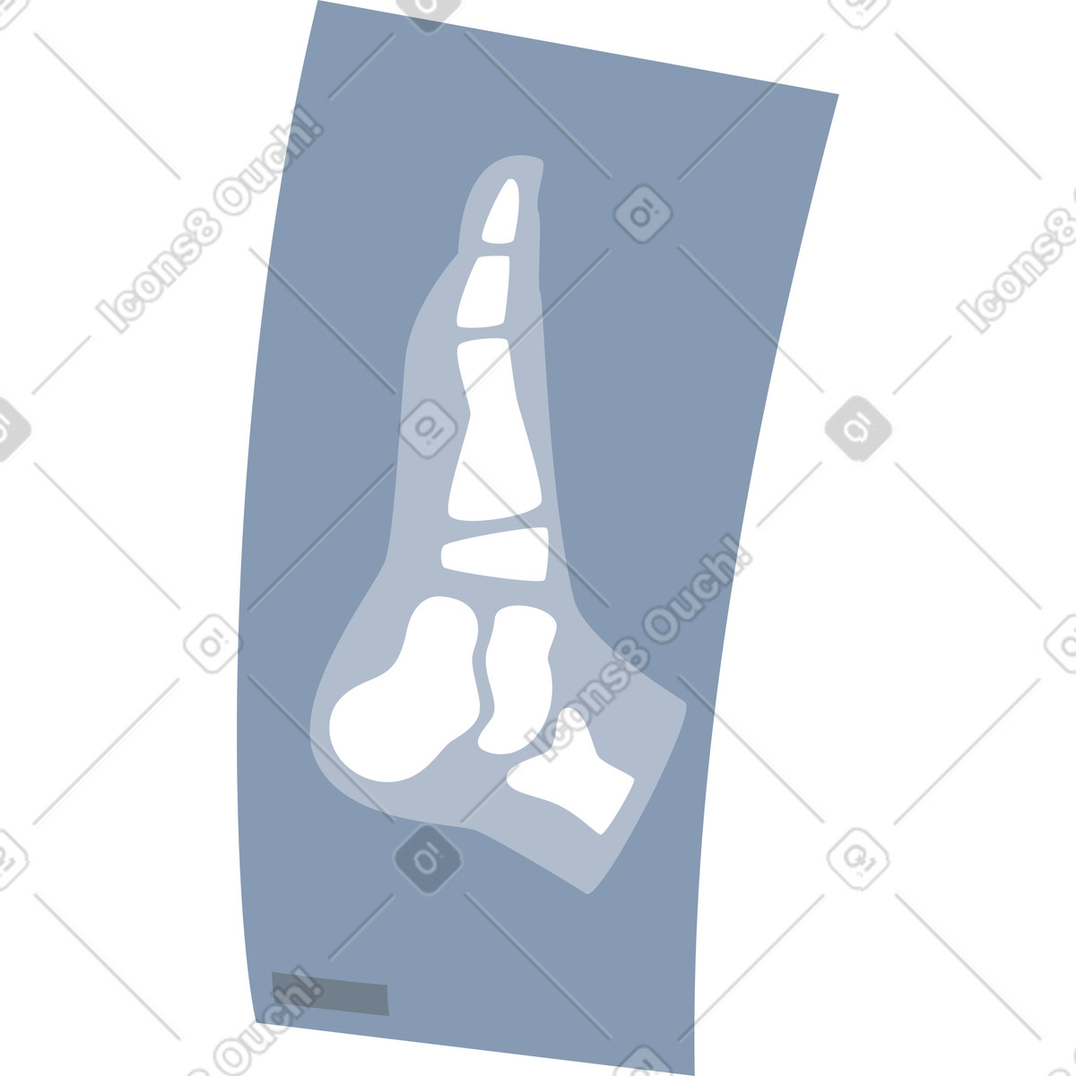Gamba a raggi x illustrazione in stile Lagom scarica in PNG, SVG