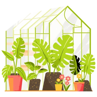 Monstera
